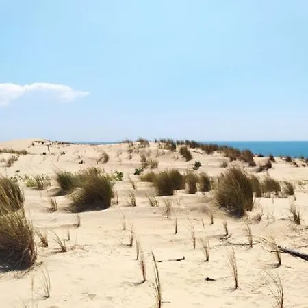 Location Vacances Villa 4 Pieces 7 Personnes La Palmyre - Residence Les Tremieres - Fr-1-705-68 Les Mathes