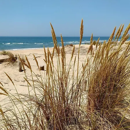 בית נופש Location 4 Pieces 7 Personnes La Palmyre - Les Tremieres - Fr-1-705-68 לס מתה